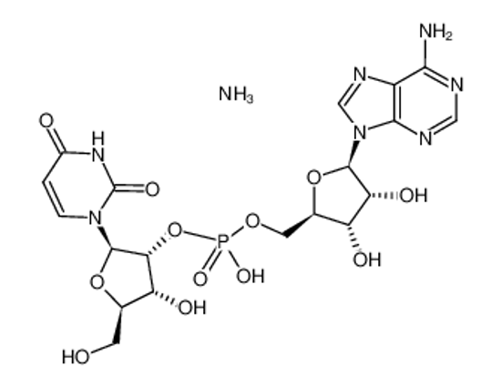 Picture of URIDYLYL(2'-5')ADENOSINE AMMONIUM SALT