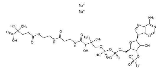 Picture of (DL-3-Hydroxy-3-methylglutaryl)-coenzyme A disodium salt trihydrate