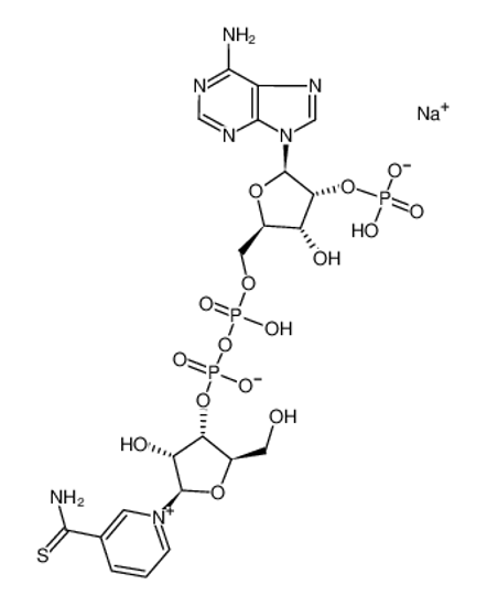 Imagem de ADENOSINE 5'-(TRIHYDROGEN DIPHOSATE), 2'-(SODIUM HYDROGEN PHOSPHATE), P',5'-ESTER WITH 3-(AMINOTHIOXOMETHYL)-1-β-D-RIBOFURANOSYLPYRIDIUM INNER SALT
