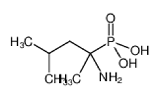 Picture of (2-amino-4-methylpentan-2-yl)phosphonic acid,hydrate