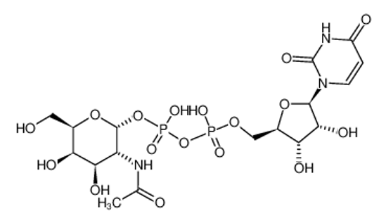 Picture of UDP-N-acetyl-α-D-galactosamine
