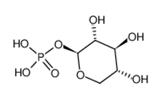 Picture of A-D-XYLOSE 1-PHOSPHATE*DI(MONOCYCLOHEXYLAMMONIUM)