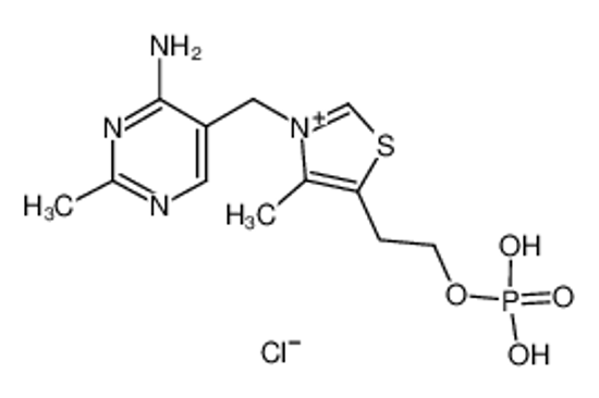 Imagem de thiamine(1+) monophosphate chloride