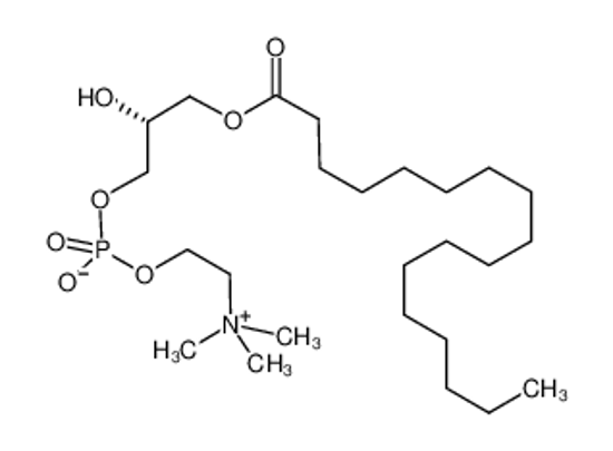Picture of [(2R)-3-heptadecanoyloxy-2-hydroxypropyl] 2-(trimethylazaniumyl)ethyl phosphate