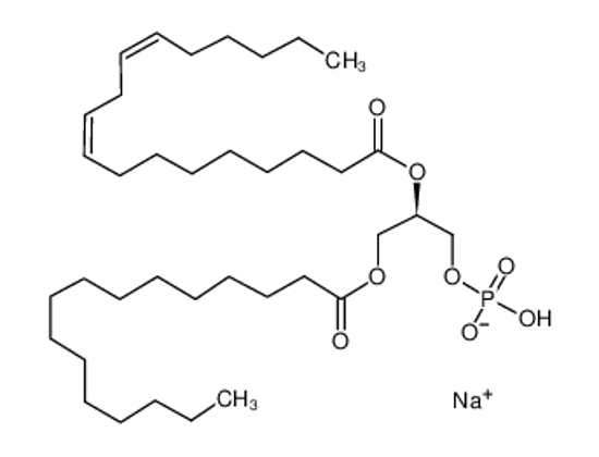 Picture of sodium,[(2R)-3-hexadecanoyloxy-2-[(9Z,12Z)-octadeca-9,12-dienoyl]oxypropyl] hydrogen phosphate
