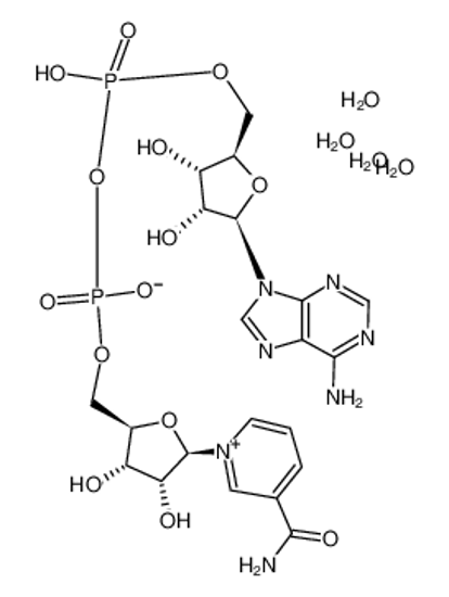 Picture of β-NICOTINAMIDE ADENINE DINUCLEOTIDE TETRAHYDRATE, CRYSTALLINE, 98+%
