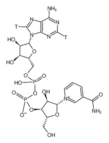 Picture of NICOTINAMIDE ADENINE DINUCLEOTIDE, A D E H I