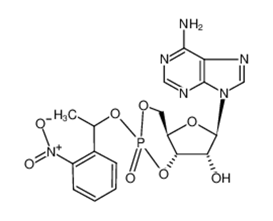 Изображение ADENOSINE 3',5'-CYCLIC MONOPHOSPHATE, P1-(2-NITROPHENYL)ETHYL ESTER