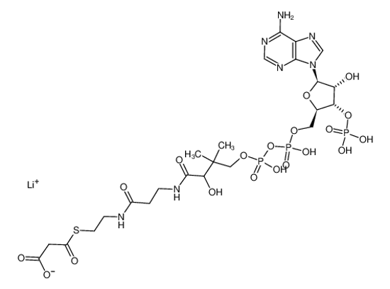 Picture of 3-[2-[3-[[4-[[[5-(6-aminopurin-9-yl)-4-hydroxy-3-phosphonooxyoxolan-2-yl]methoxy-hydroxyphosphoryl]oxy-hydroxyphosphoryl]oxy-2-hydroxy-3,3-dimethylbutanoyl]amino]propanoylamino]ethylsulfanyl]-3-oxopropanoic acid,lithium