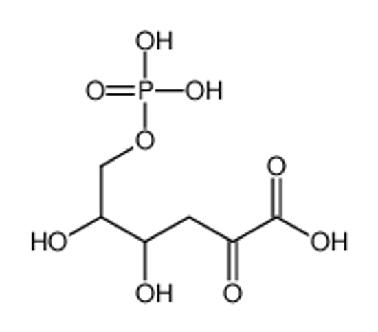 Picture of (2R)-2-chloro-3-oxo-N-phenylbutanamide