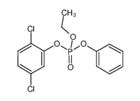 Picture of (2,5-dichlorophenyl) ethyl phenyl phosphate