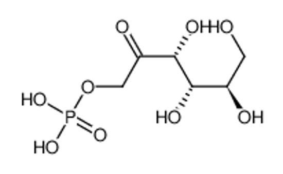 Изображение D-sorbose 1-phosphate