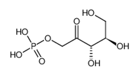 Picture of xylulose-1-phosphate