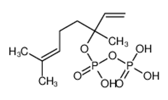 Picture of 3,7-dimethylocta-1,6-dien-3-yl phosphono hydrogen phosphate