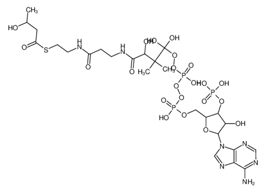 Picture of 3-hydroxybutanoyl-CoA