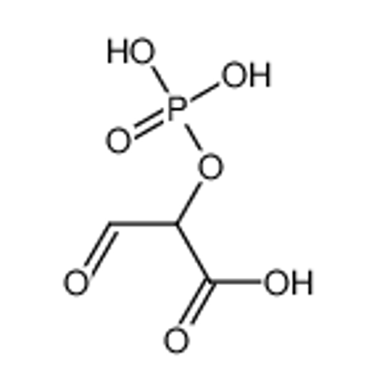 Picture of D-tartronic semialdehyde phosphate