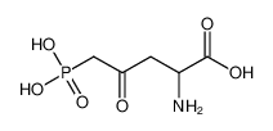Picture of 2-amino-4-oxo-5-phosphonopentanoic acid