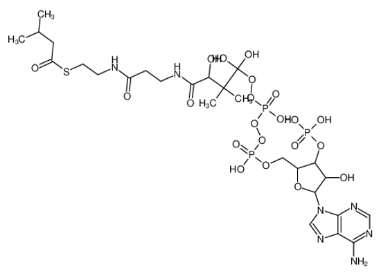 Picture of isovaleryl-CoA