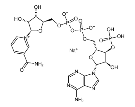 Picture of [[5-(6-aminopurin-9-yl)-3-hydroxy-4-phosphonooxyoxolan-2-yl]methoxy-hydroxyphosphoryl] [5-(3-carbamoyl-4H-pyridin-1-yl)-3,4-dihydroxyoxolan-2-yl]methyl hydrogen phosphate,sodium