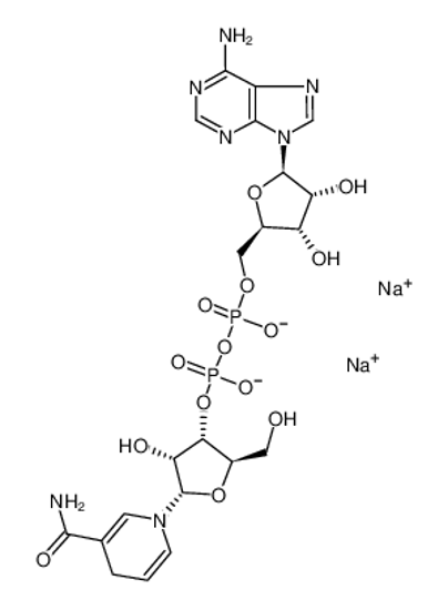 Picture of disodium,[[(2S,3R,4S,5S)-5-(6-aminopurin-9-yl)-3,4-dihydroxyoxolan-2-yl]methoxy-oxidophosphoryl] [(2R,3S,4R,5S)-5-(3-carbamoyl-4H-pyridin-1-yl)-3,4-dihydroxyoxolan-2-yl]methyl phosphate