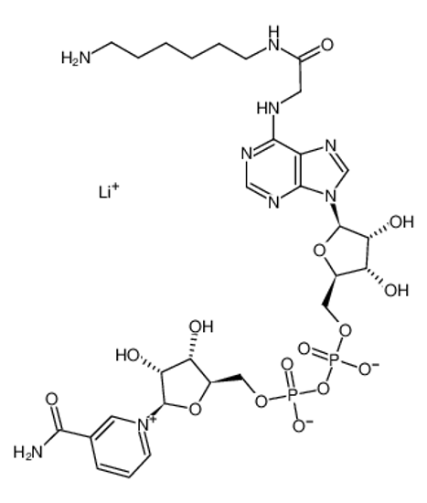 Picture of N6-([6-AMINOHEXYL]-CARBAMOYLMETHYL)-NICOTINAMIDE ADENINE DINUCLEOTIDE LITHIUM SALT