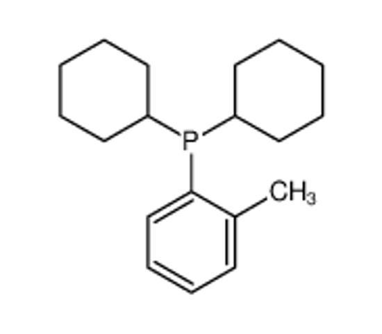 Picture of dicyclohexyl-(2-methylphenyl)phosphane