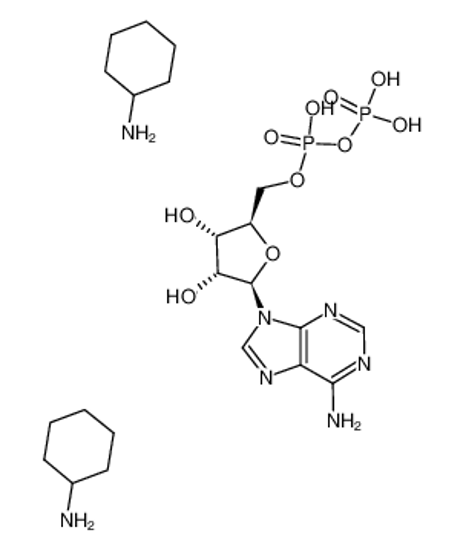 Изображение Adenosine 5'-diphosphate bis(cyclohexylammonium) salt