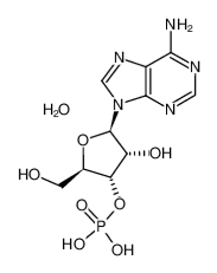 Изображение Adenosine 3'-Monophosphate Hydrate