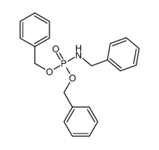 Picture of N-bis(phenylmethoxy)phosphoryl-1-phenylmethanamine