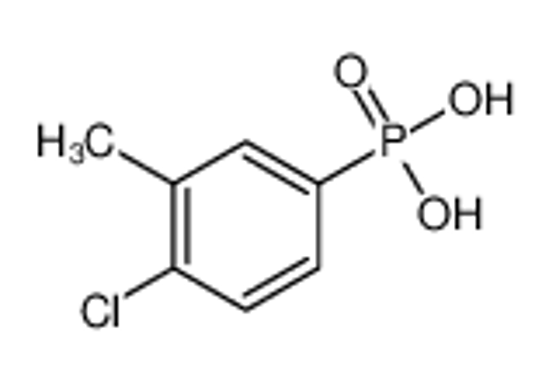 Picture of (4-chloro-3-methylphenyl)phosphonic acid