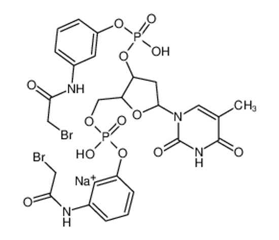 Picture of sodium,[3-[[3-[(2-bromoacetyl)amino]phenoxy]-hydroxyphosphoryl]oxy-5-(5-methyl-2,4-dioxopyrimidin-1-yl)oxolan-2-yl]methyl [3-[(2-bromoacetyl)amino]phenyl] hydrogen phosphate