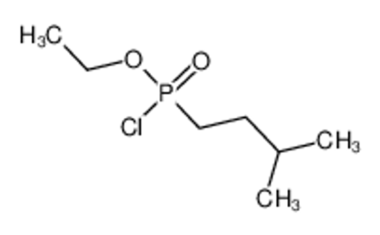 Изображение 1-(chloro-ethoxyphosphoryl)-3-methylbutane