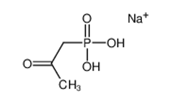 Imagem de 2-oxopropylphosphonic acid