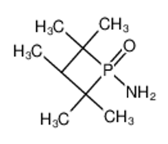 Imagem de 2,2,3,4,4-pentamethyl-1-oxo-1λ<sup>5</sup>-phosphetan-1-amine