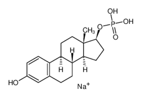 Picture of (3-hydroxy-13-methyl-6,7,8,9,11,12,14,15,16,17-decahydrocyclopenta[a]phenanthren-17-yl) dihydrogen phosphate