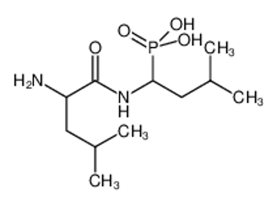Picture of [1-[(2-amino-4-methylpentanoyl)amino]-3-methylbutyl]phosphonic acid