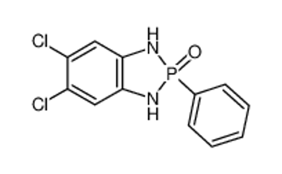 Picture of 5,6-dichloro-2-phenyl-1,3-dihydro-1,3,2λ<sup>5</sup>-benzodiazaphosphole 2-oxide