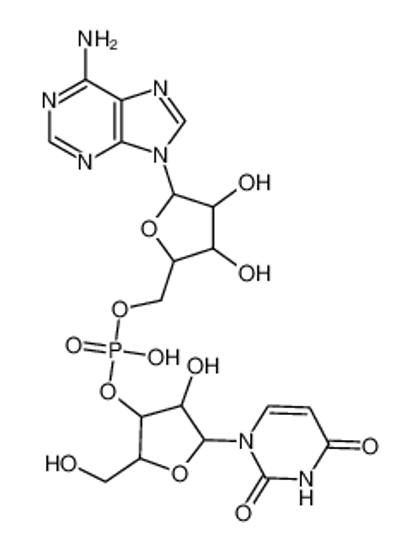 Изображение Uridine-3',5'-adenosine phosphate