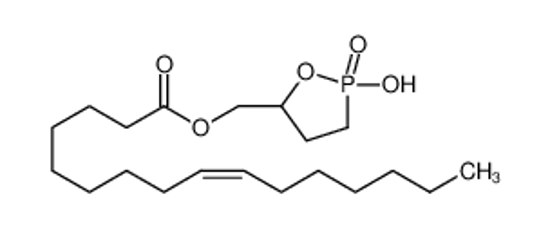 Picture of (2-hydroxy-2-oxo-1,2λ<sup>5</sup>-oxaphospholan-5-yl)methyl hexadec-9-enoate