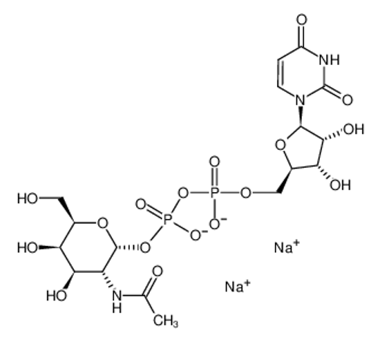 Изображение disodium,[(3R,4R,5R,6R)-3-acetamido-4,5-dihydroxy-6-(hydroxymethyl)oxan-2-yl] [[(2R,3S,4R)-5-(2,4-dioxopyrimidin-1-yl)-3,4-dihydroxyoxolan-2-yl]methoxy-oxidophosphoryl] phosphate
