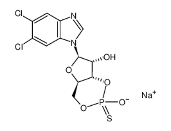 Изображение 5,6-DICHLORO-1-β-D-RIBOFURANOSYLBENZIMIDAZOLE-3',5'-CYCLIC MONOPHOSPHOROTHIOATE, RP-ISOMER SODIUM SALT