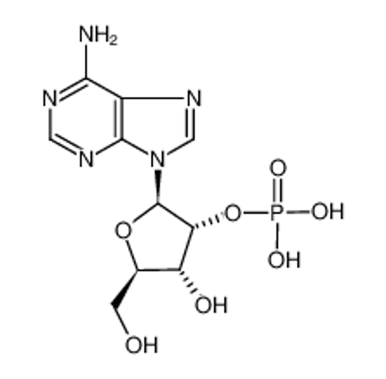 Picture of adenosine 2'-phosphate
