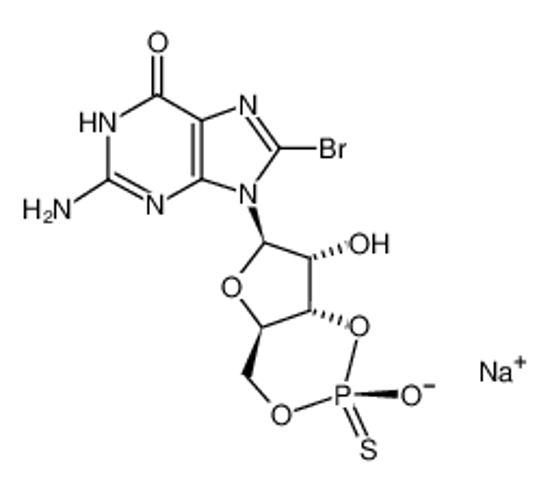 Picture of 8-BROMOGUANOSINE-3',5'-CYCLIC MONOPHOSPHOROTHIOATE, RP-ISOMER SODIUM SALT