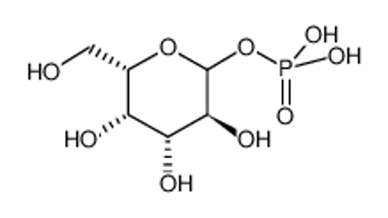 Imagem de a-L-Galactose-1-phosphate dipotassium salt