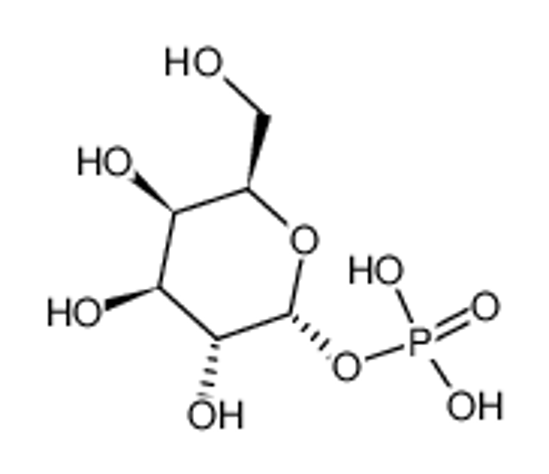 Picture of D-galactopyranose 1-phosphate