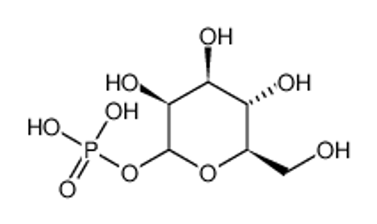 Picture of D-mannose 1-phosphate
