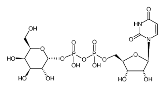 Picture of UDP-D-galactose