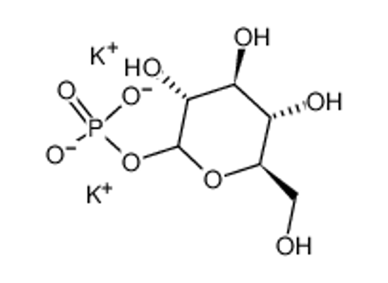 Picture of GLUCOSE-1-PHOSPHATE DIPOTASSIUM SALT