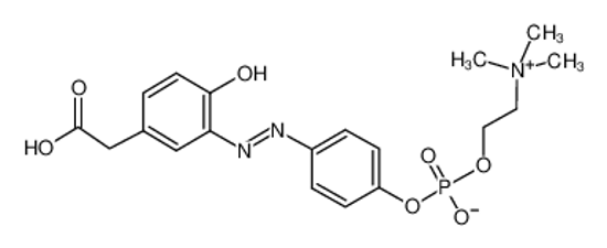Picture of [4-[(2E)-2-[3-(carboxymethyl)-6-oxocyclohexa-2,4-dien-1-ylidene]hydrazinyl]phenyl] 2-(trimethylazaniumyl)ethyl phosphate