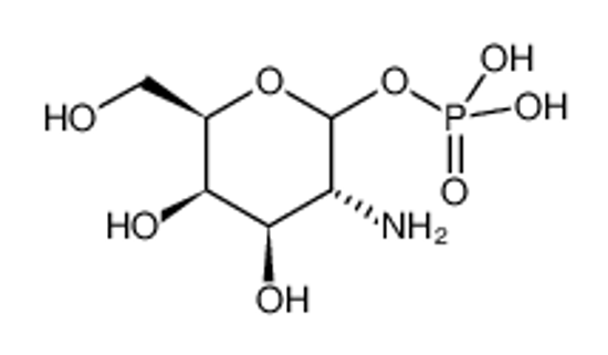 Picture of D-Galactosamine-1-phosphate